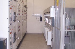 100_7095 (Large)